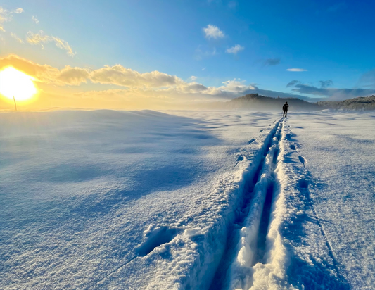 Cross-Country Ski Training Summer